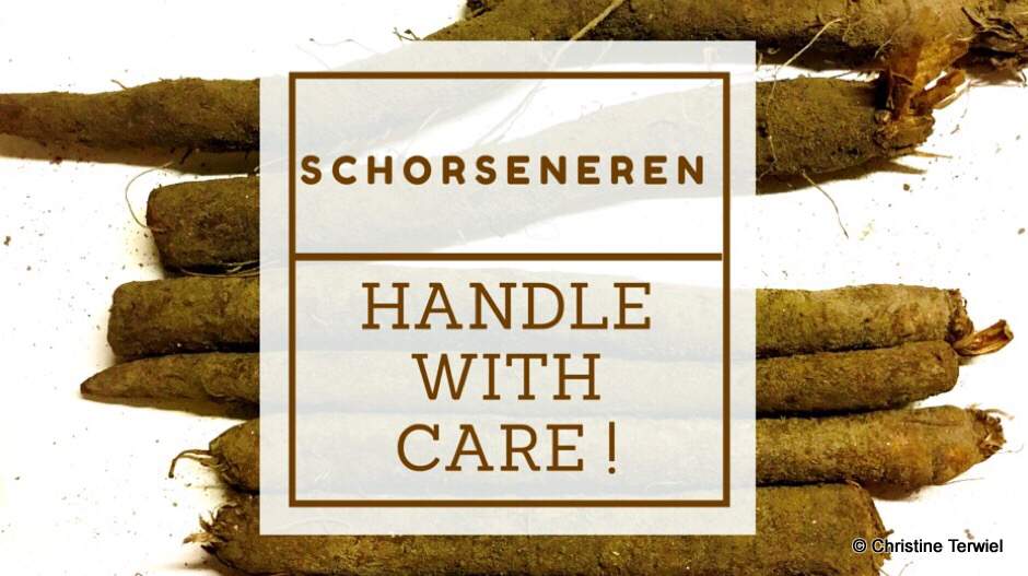 Je bekijkt nu Schorseneren: handle with care!