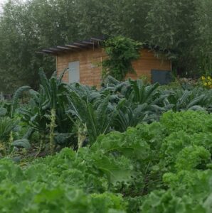 Read more about the article Vegetable garden co-working day Hoeve Biesland