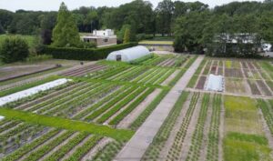 Lees meer over het artikel 7 september: opendag tuinderij WIJdehorst