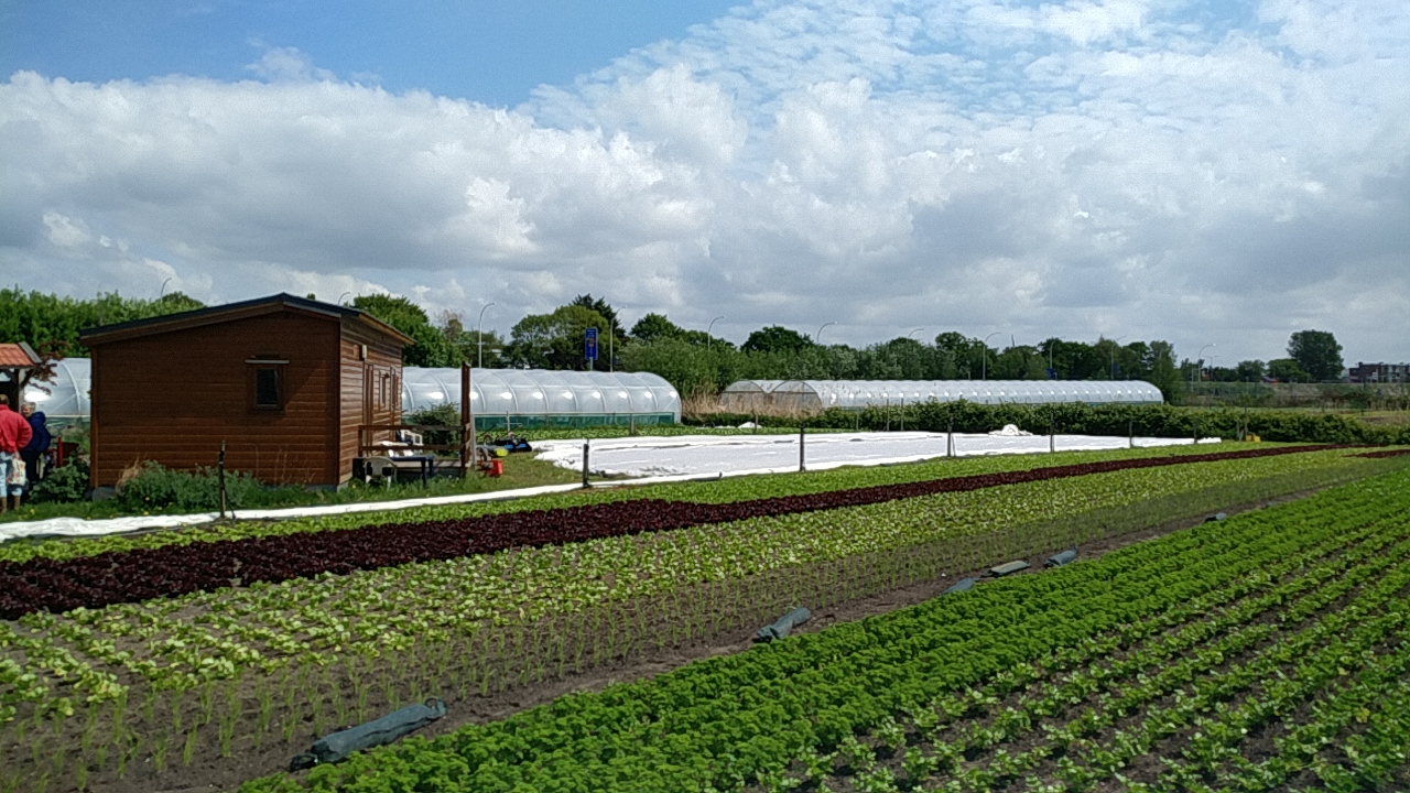 Read more about the article Review field trip to our growers